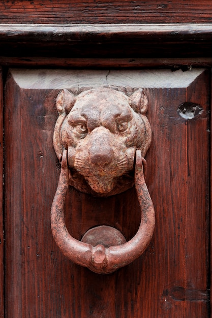 Aldaba de puerta formado león italiano antiguo.