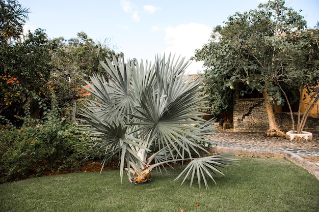 Aldea Altos de Chavón República Dominicana