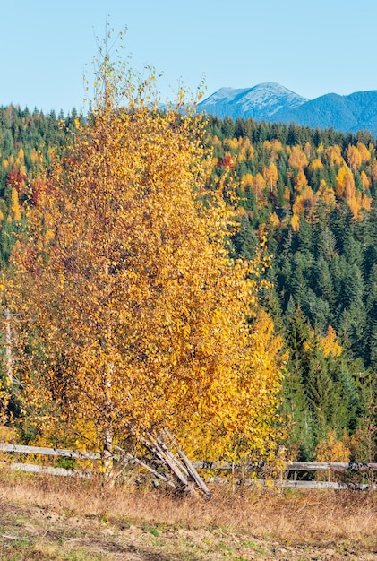 Aldea de los Cárpatos de otoño Ucrania