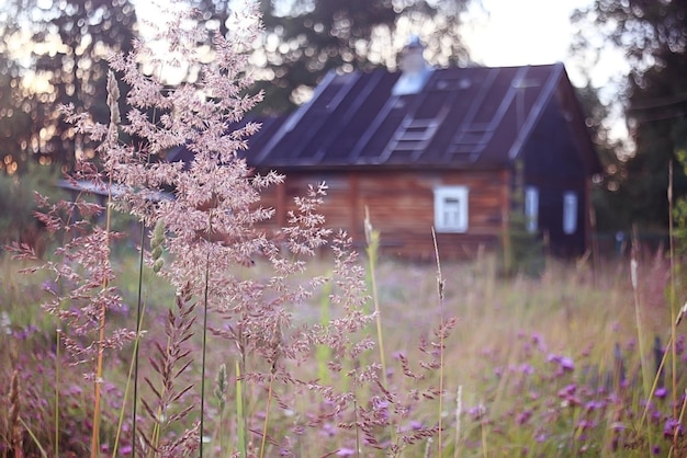 aldea hierba casa rusia naturaleza