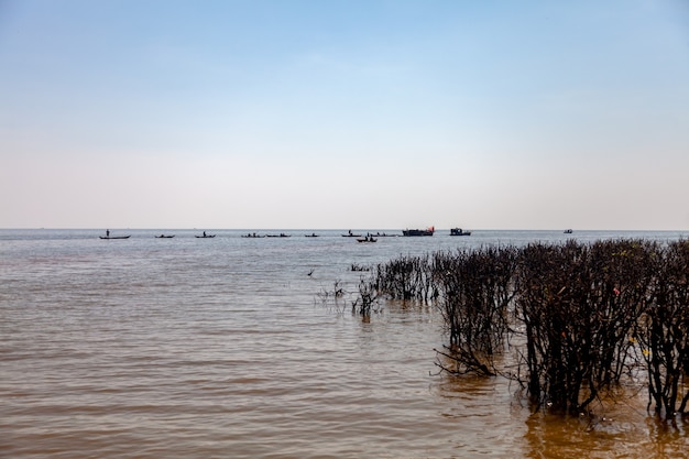 Aldea de Kampong Phluk durante la temporada de sequía. Vida y obra de los residentes de la aldea de agua de Camboya