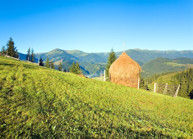 Aldea de montaña de verano con campo y pajar