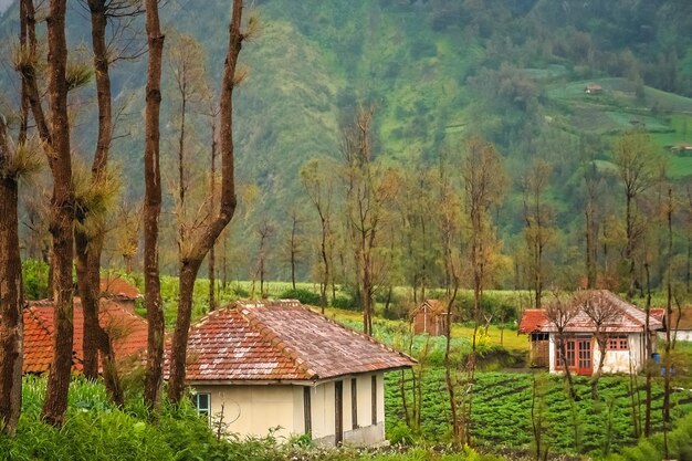 Aldeia cemoro lawang em java