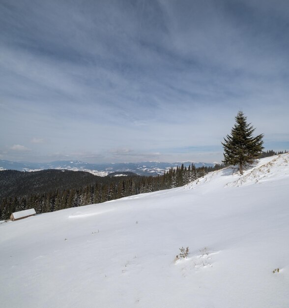 Aldeia de montanha alpina remota de inverno nos arredores do campo colinas bosques e fazendas