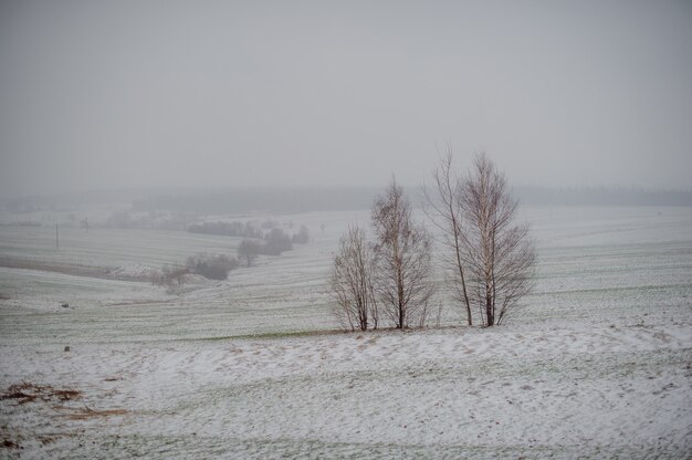 aldeia de montanha de neve