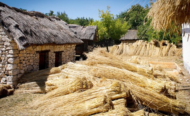 Aldeia de skanzen na europa