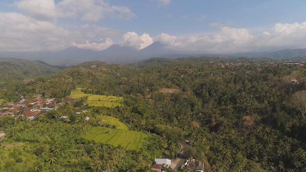 Aldeia entre campos de arroz e terraços na Ásia vista aérea terras agrícolas com terraço de arroz agrícolas