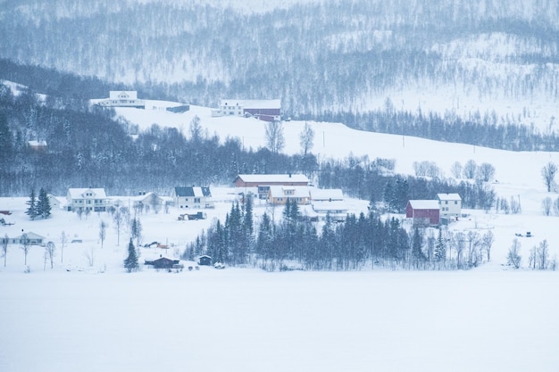 Aldeia escandinava na colina na nevasca no inverno nas ilhas Lofoten