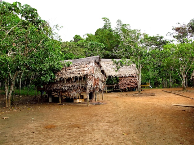 Aldeia indígena no Rio Amazonas Peru América do Sul