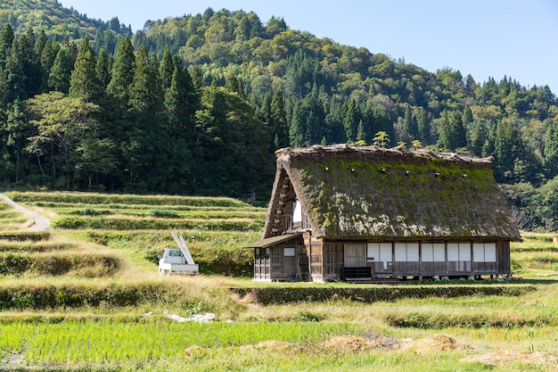 Aldeia Japonesa