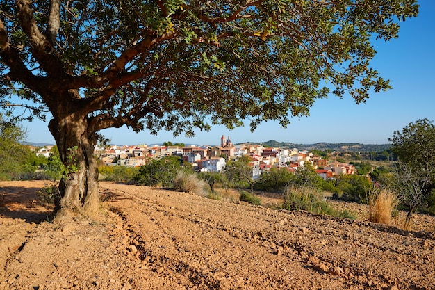 Foto aldeia losa del obispo, em valência, espanha