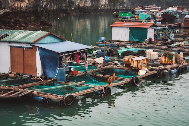 Aldeia piscatória flutuante em Halong Bay Vietnam Sudeste Asiático