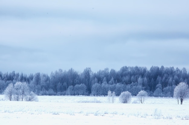 Aldeia russa no inverno, paisagem na queda de neve de janeiro, casas de aldeia