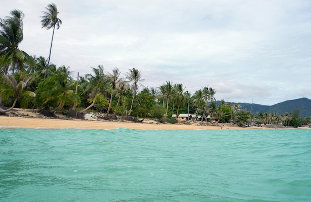 Aldeia tropical do mar