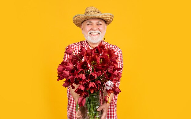 Alegre anciano maduro con sombrero sostiene flores de tulipán de primavera sobre fondo amarillo