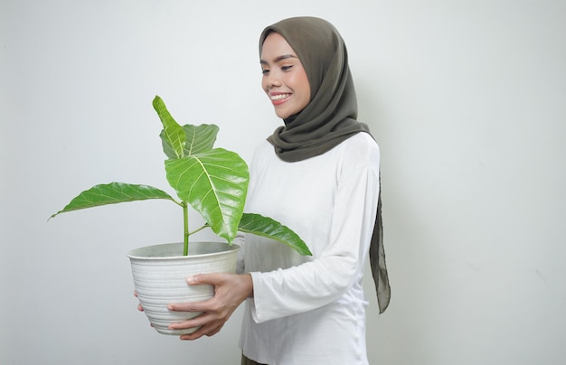 Una alegre mujer musulmana asiática con camiseta y hiyab sosteniendo una planta aislada de fondo blanco