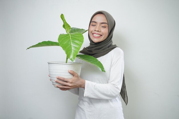 Una alegre mujer musulmana asiática con camiseta y hiyab sosteniendo una planta aislada de fondo blanco