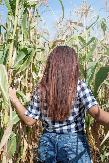 Alegre mulher caucasiana feminina na colheita de milho vista por trás