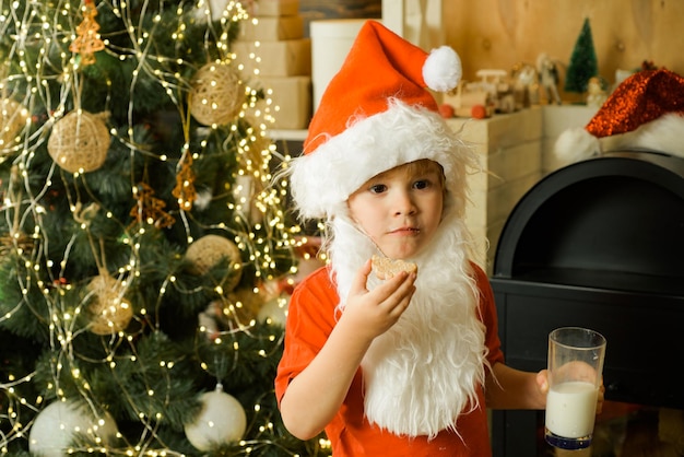 Alegre pequeno Papai Noel segurando vidro com leite e biscoito com lareira e árvore de Natal em