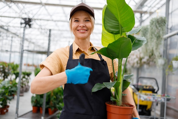 Una alegre trabajadora del centro de jardinería con una planta en maceta verde mostrando un gesto de pulgar hacia arriba