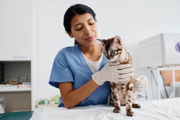 Alegre veterinário no trabalho