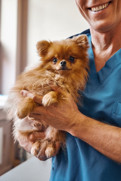 Alegre veterinario sosteniendo un lindo perrito con ojos asustados mientras está de pie en la clínica veterinaria