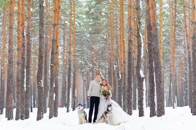 Alegres recém-casados caminha na trilha na floresta de neve com dois cães siberianos.