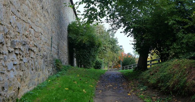 Alemanha, Baviera, Rothenburg ob der Tauber, cidade de conto de fadas, muralha do castelo, espaço verde urbano