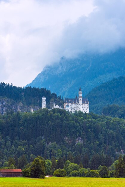 ALEMANIA HOHENSCHWANGAU 20 DE AGOSTO Vista del castillo bávaro de Neuschwanstein en un clima brumoso de verano el 20 de agosto de 2015