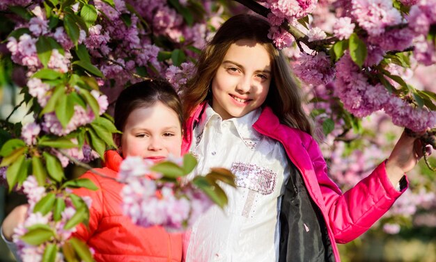 Alergia al olor de la flor Hermandad niñas pequeñas en flor de primavera Cosméticos naturales para la piel hermanas felices en flor de cerezo Sakura floreciendo verano Belleza infantil Día de la familia