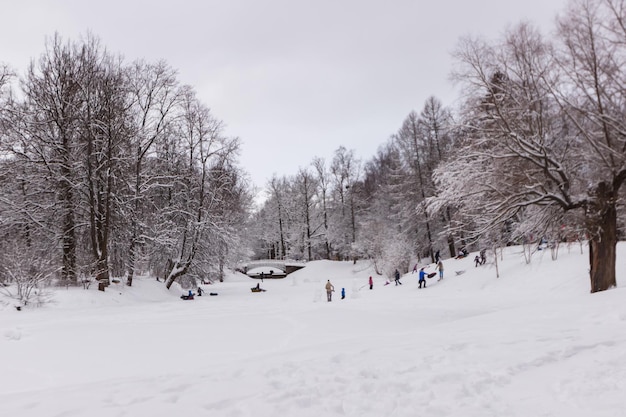 Alexander Park coberto de neve em Pushkin