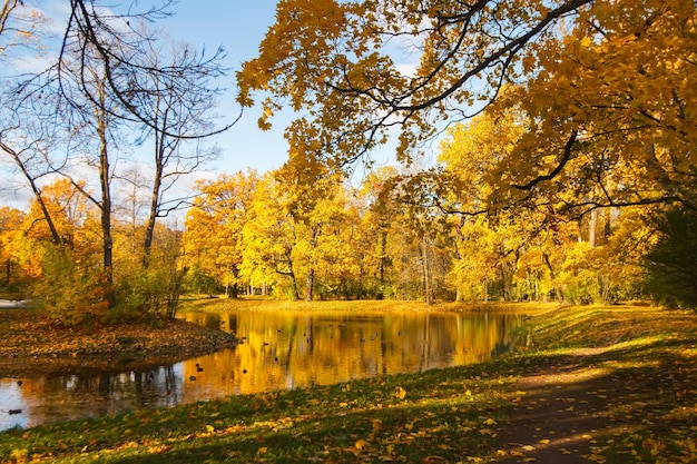 Alexander Park en otoño en octubre Antecedentes