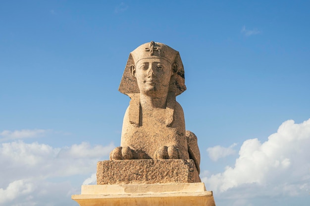 Alexandria Egypt Sphinx-Statue vor dem Hintergrund eines blauen bewölkten Himmels in der Nähe von Pompeys Pillar am sonnigen Tag