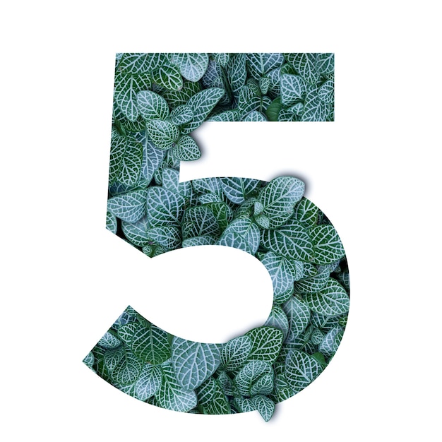Foto alfabeto de concepto de naturaleza de hojas verdes en forma número cinco