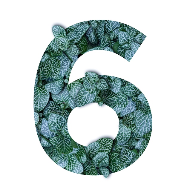 Alfabeto de conceito de natureza de folhas verdes em forma de número seis