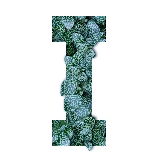Alfabeto de conceito de natureza de folhas verdes em letras do alfabeto eu formas