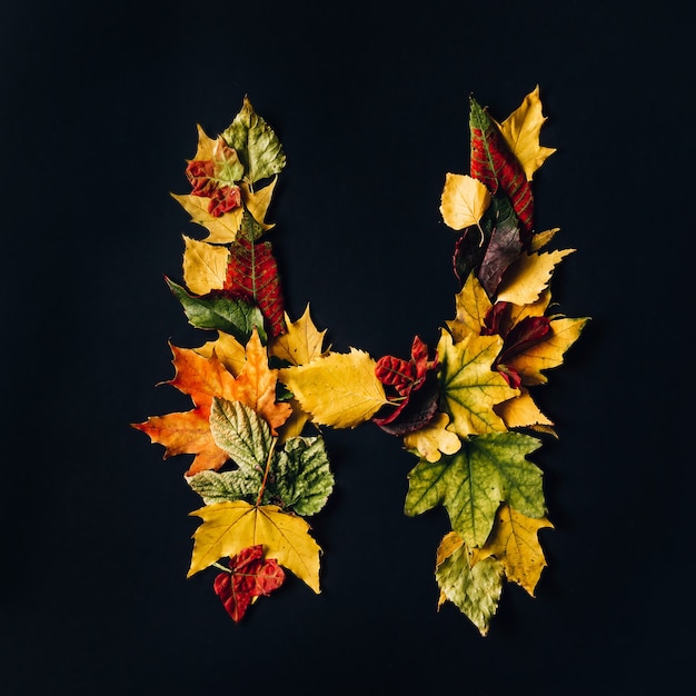 Alfabeto inglês feito pela fonte de cores naturais de folhas de outono para desenho em fundo preto