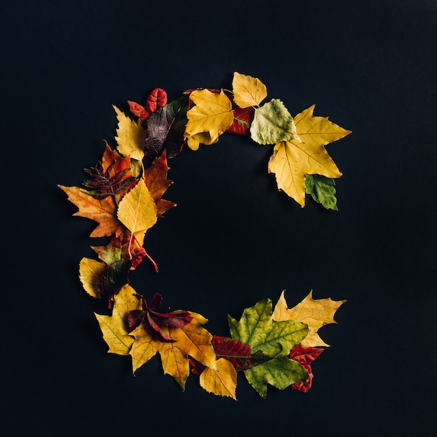 Alfabeto inglés hecho por hojas de otoño. Fuente de colores naturales para el diseño. Letra C sobre fondo negro. Vista superior. Copie el espacio. Endecha plana