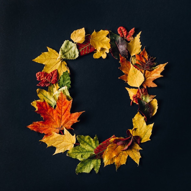 Alfabeto inglés hecho por hojas de otoño. Fuente de colores naturales para el diseño sobre fondo negro.