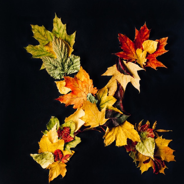 Alfabeto inglés hecho por hojas de otoño fuente de colores naturales para el diseño sobre fondo negro