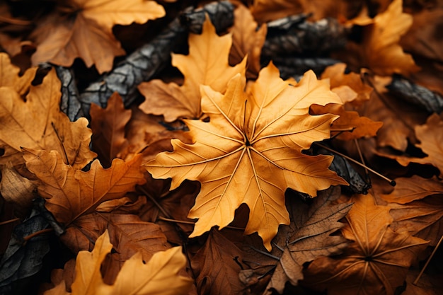 Una alfombra de hojas de otoño cubre el camino en tonos cálidos.