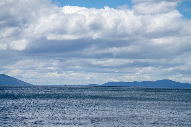 Algas marinas y algas toro que crecen en las rocas en el océano en Australia Olas que mueven algas sobre la roca y fluyen con la marea en Japón Granja de algas