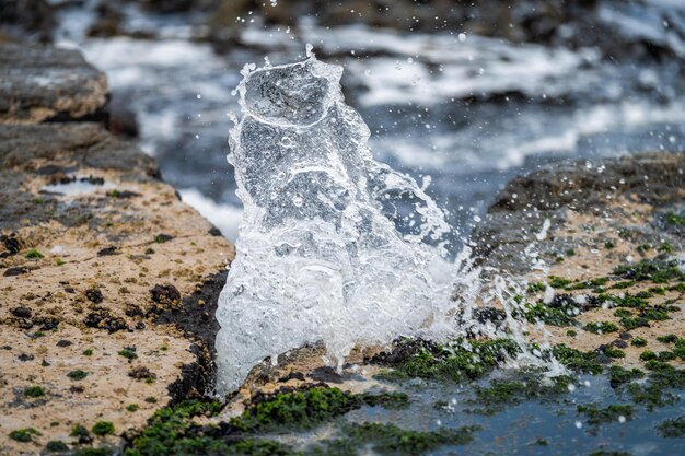 Foto algas touro crescendo nas rochas ondas e incha no oceano na austrália