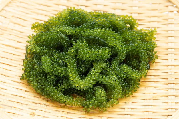 Foto algas de uva de mar en plato de bambú