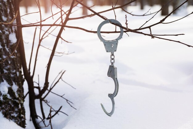 Algemas penduradas em um galho na floresta contra um fundo de neve um conceito de fuga ou liberdade