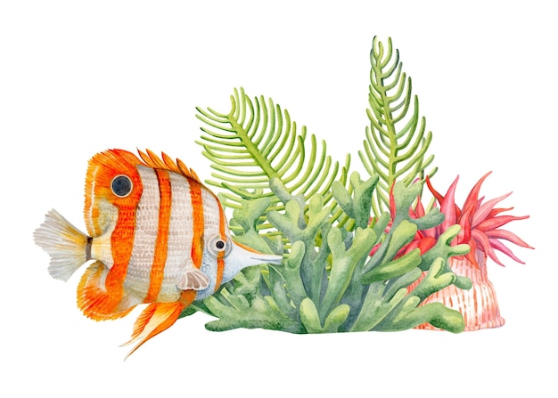 Foto algen actinia und tropische helle fische aquarellillustration zusammensetzung der meerestiere