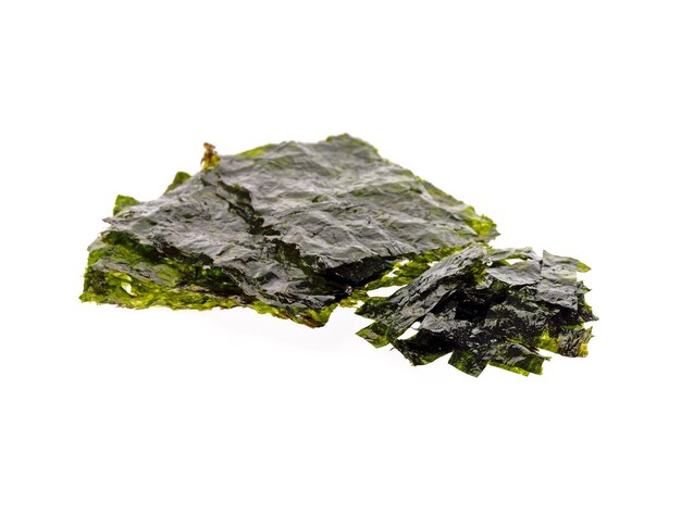 Algenblatt auf weißem Hintergrund