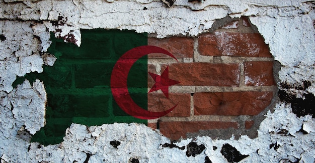 Algeriens Flagge an der Backsteinmauer