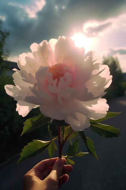 alguém segurando uma flor branca na mão em uma rua generativa ai