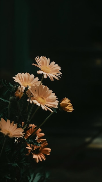 Algunas flores con espacio a la derecha